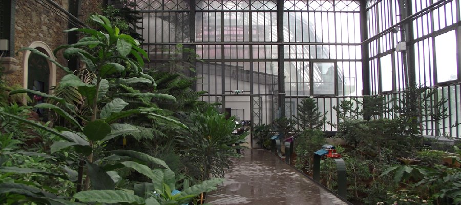 CC638 Grandes_serres_-_serre_de_Nouvelle-Calédonie.jpg